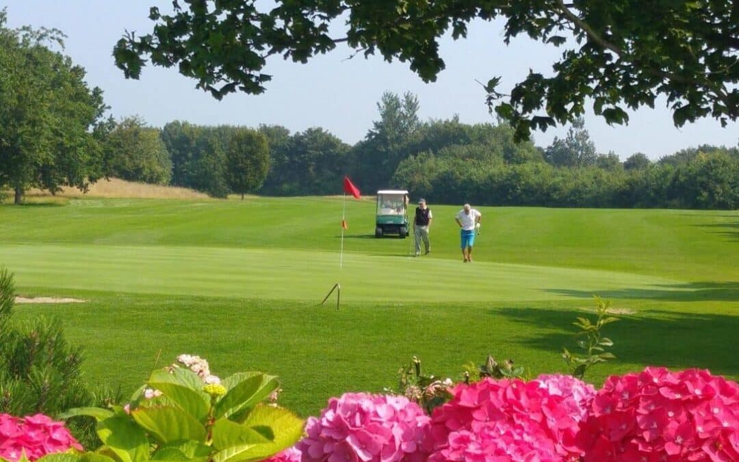 Golf Special, Large+Small